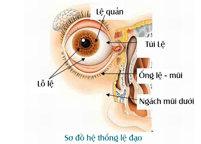 tac-le-dao-mat1 tắc lệ đạo mắt
